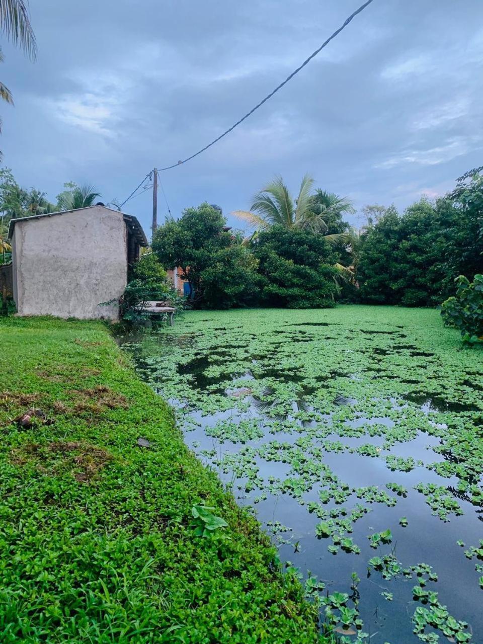 Ashok Villa Weligama Bagian luar foto