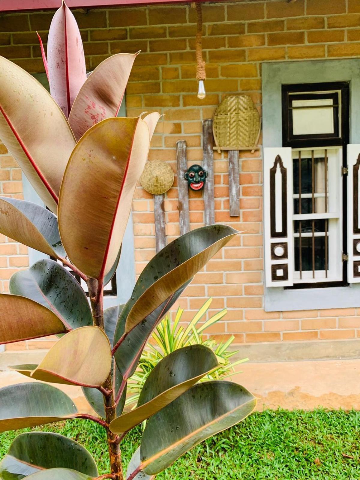 Ashok Villa Weligama Bagian luar foto