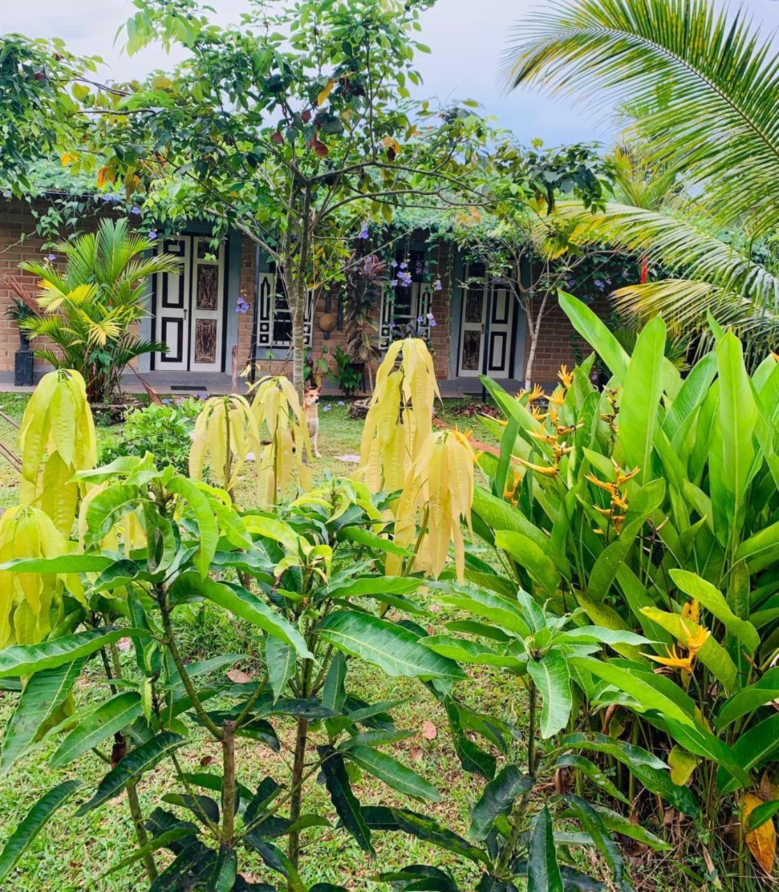 Ashok Villa Weligama Bagian luar foto