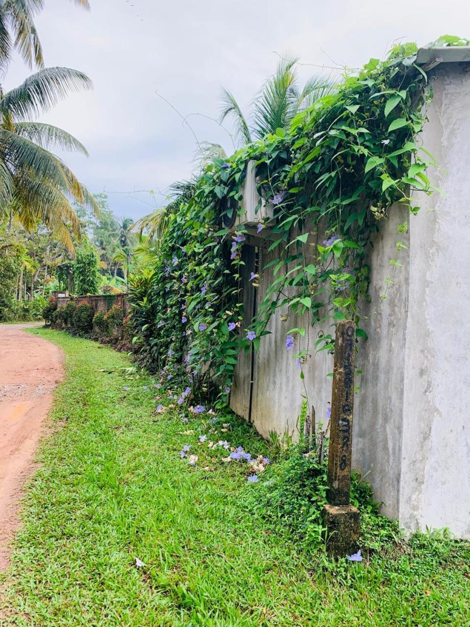 Ashok Villa Weligama Bagian luar foto